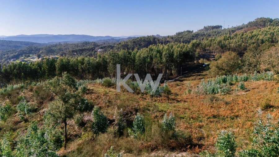 Terreno para Venda em Anissó e Soutelo Foto 14