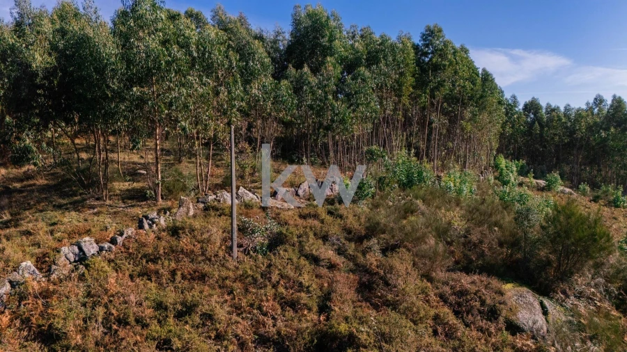 Terreno para Venda em Anissó e Soutelo Foto 17