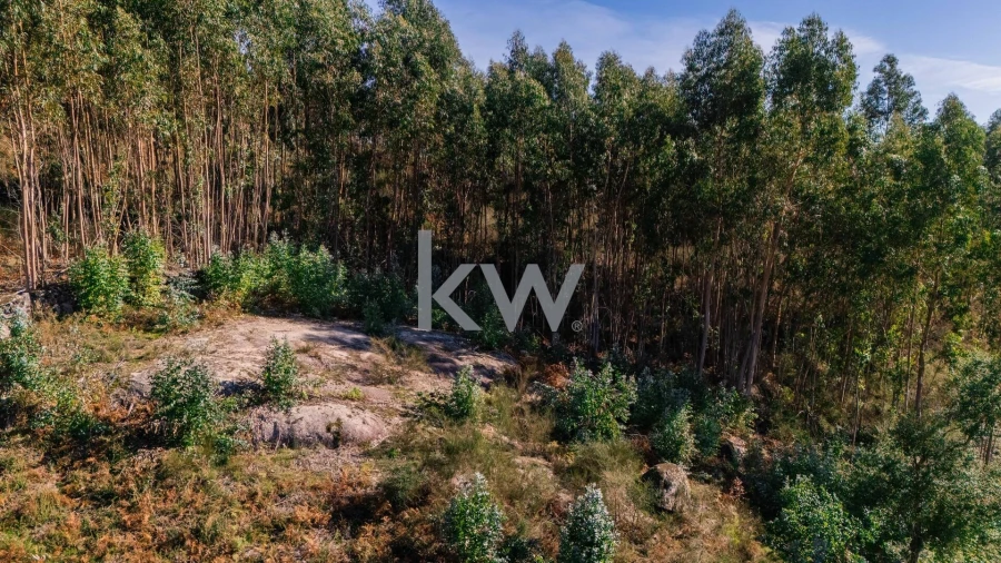 Terreno para Venda em Anissó e Soutelo Foto 16