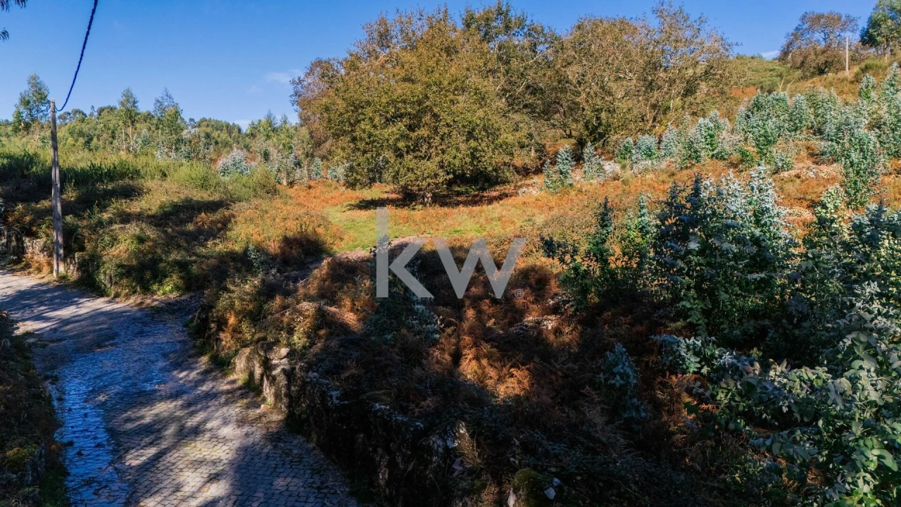 Terreno para Venda em Anissó e Soutelo Foto 10