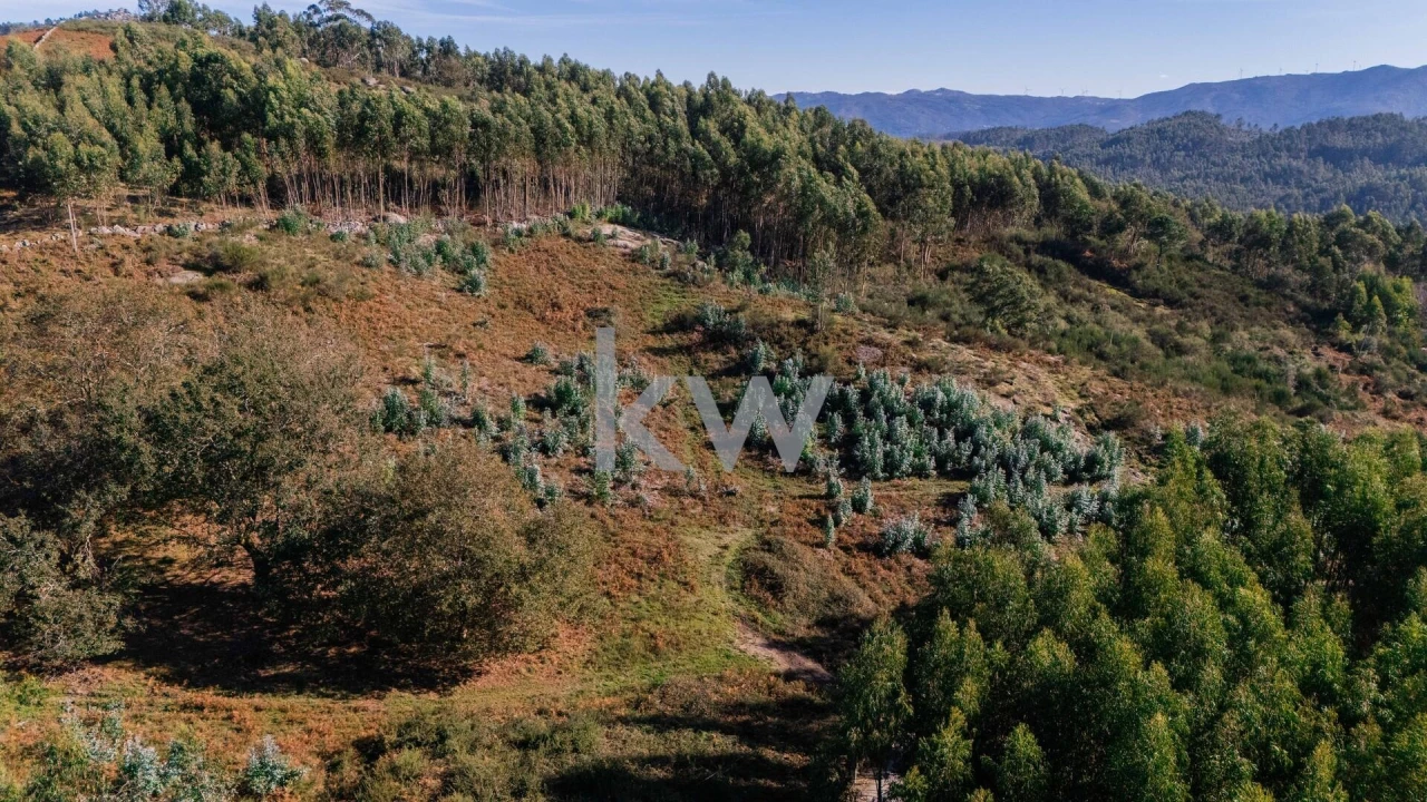 Terreno para Venda em Anissó e Soutelo Foto 4