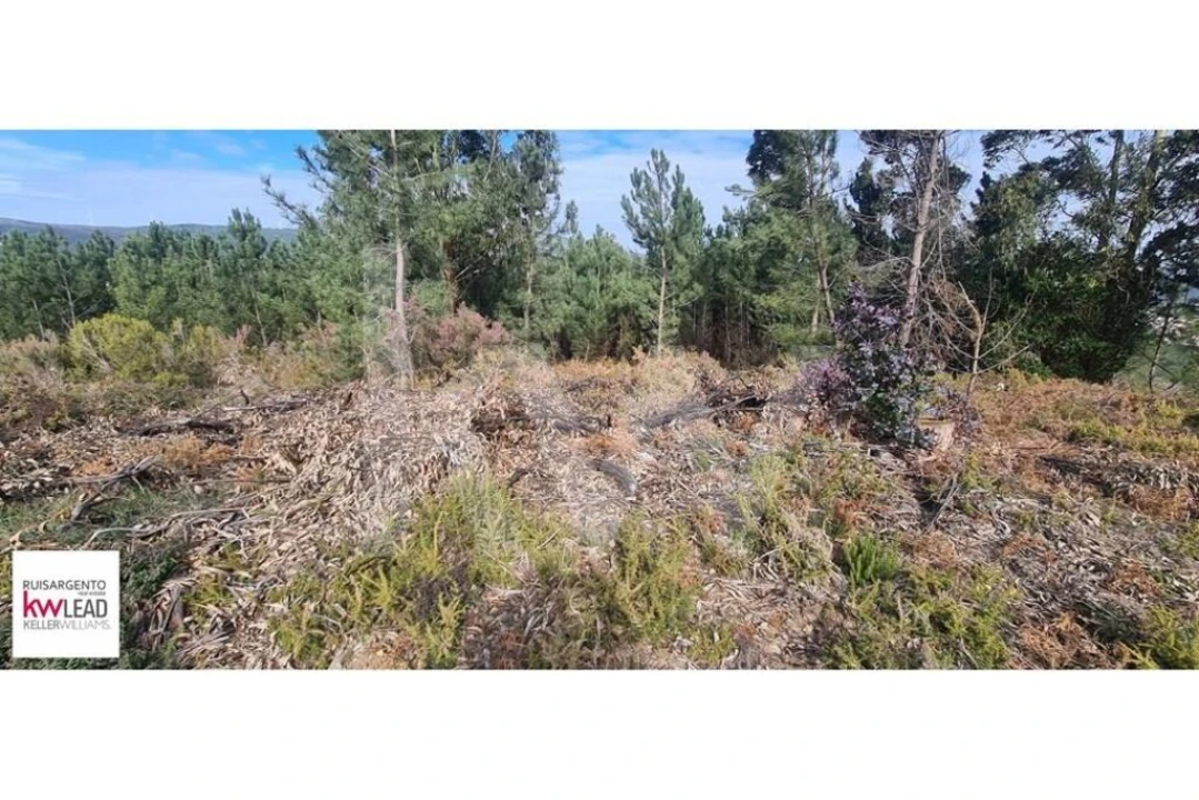 Terreno para Venda em Oleiros-Amieira Foto 28