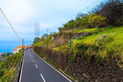 Terreno para Venda em Arco da Calheta