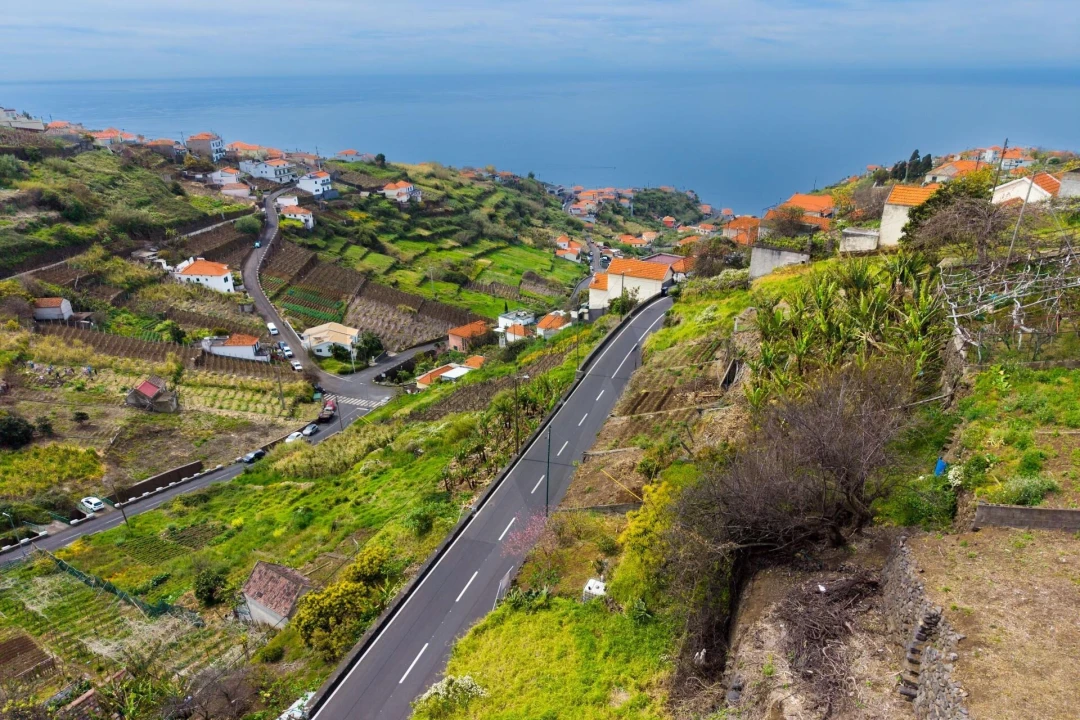Terreno para Venda em Arco da Calheta Foto 4
