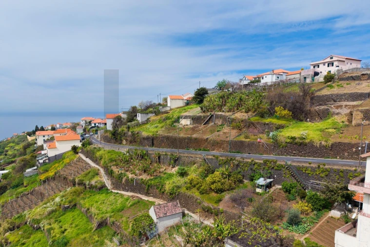 Terreno para Venda em Arco da Calheta Foto 6