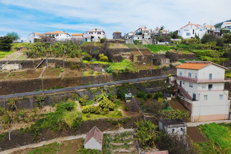 Terreno para Venda em Arco da Calheta Foto 5