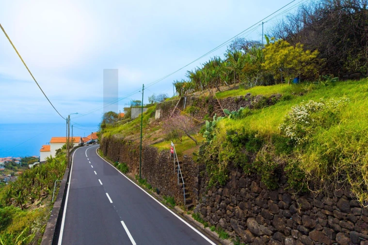 Terreno para Venda em Arco da Calheta Foto 9