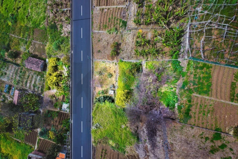 Terreno para Venda em Arco da Calheta Foto 10