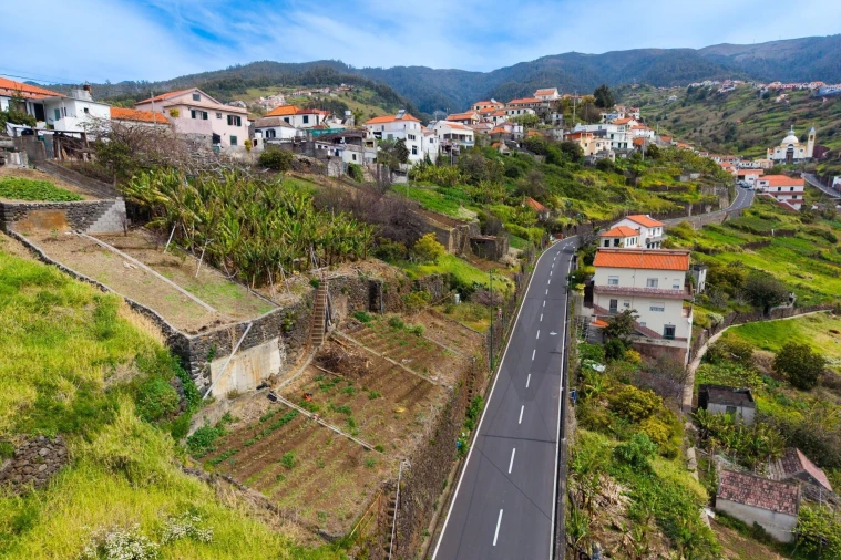 Terreno para Venda em Arco da Calheta Foto 7