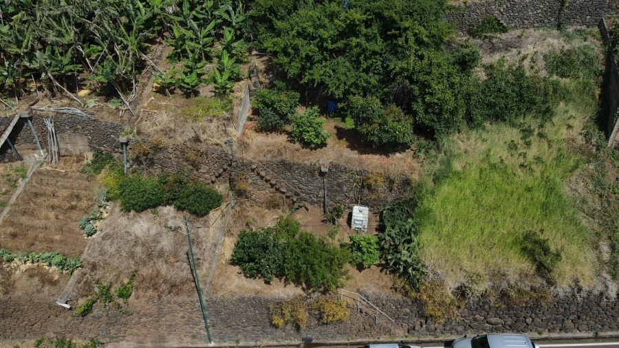Terreno para Venda em Arco da Calheta Foto 4