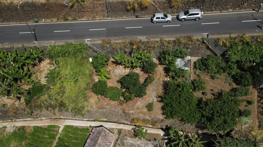 Terreno para Venda em Arco da Calheta Foto 3