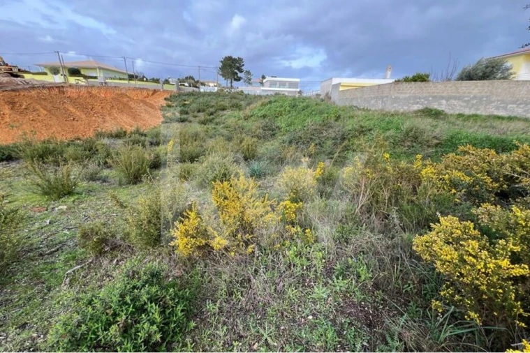 Terreno para Venda em Fernao Ferro Foto 9