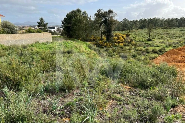 Terreno para Venda em Fernao Ferro Foto 10