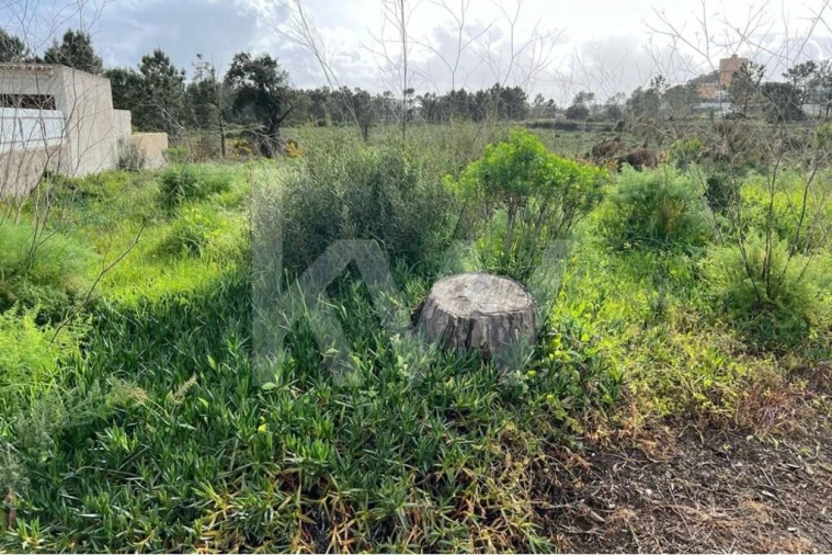 Terreno para Venda em Fernao Ferro