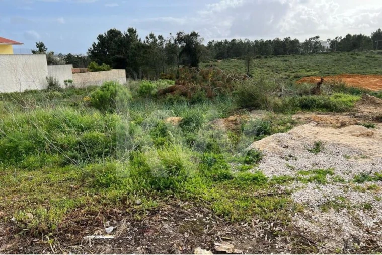 Terreno para Venda em Fernao Ferro Foto 11