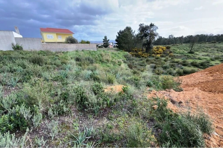 Terreno para Venda em Fernao Ferro Foto 6