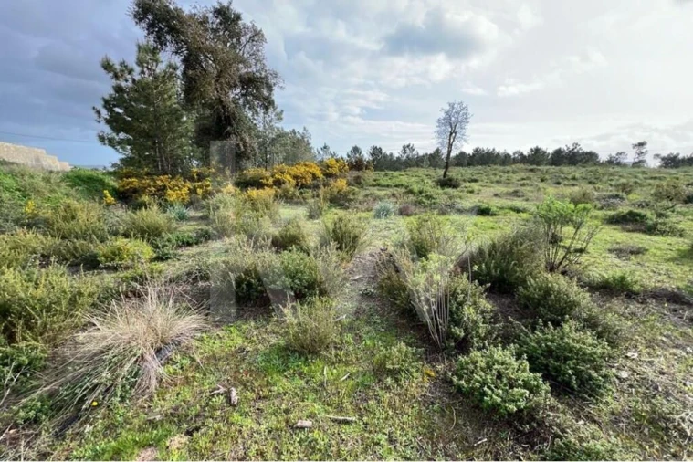 Terreno para Venda em Fernao Ferro Foto 7
