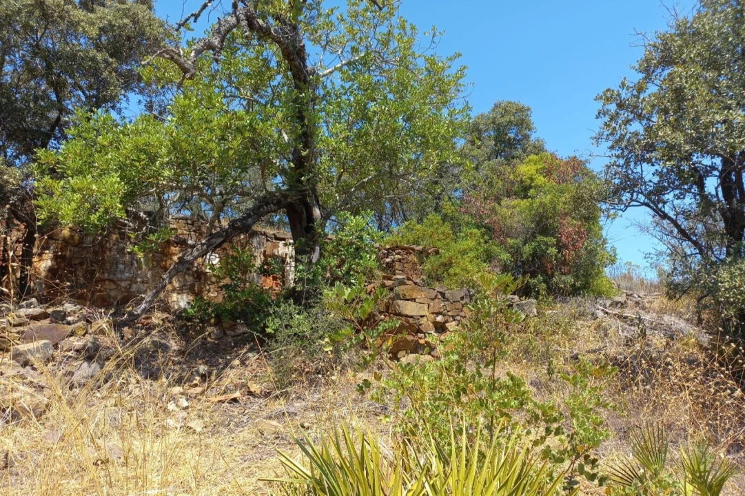 Terreno para Venda em Santa Catarina da Fonte do Bispo Foto 8