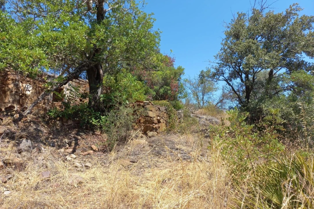 Terreno para Venda em Santa Catarina da Fonte do Bispo Foto 11