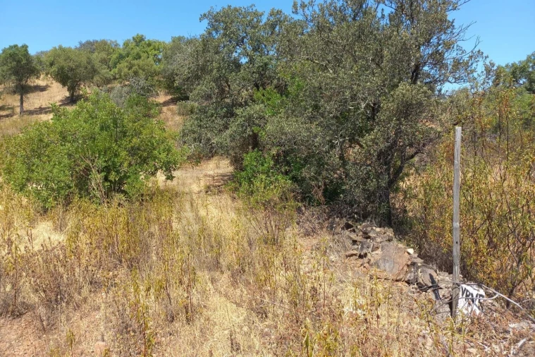 Terreno para Venda em Santa Catarina da Fonte do Bispo Foto 4