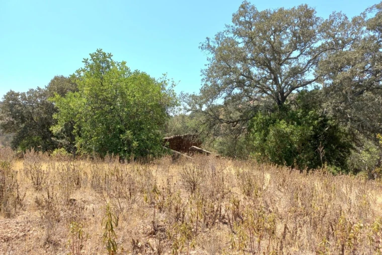 Terreno para Venda em Santa Catarina da Fonte do Bispo Foto 6