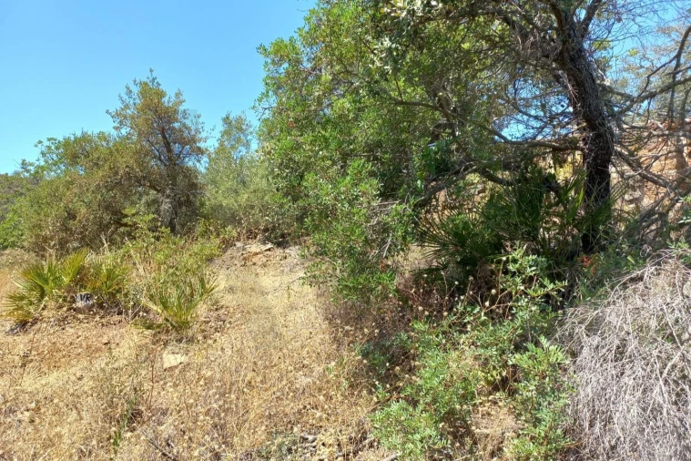 Terreno para Venda em Santa Catarina da Fonte do Bispo Foto 2