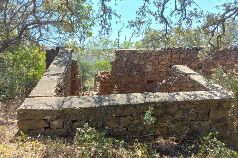 Terreno para Venda em Santa Catarina da Fonte do Bispo