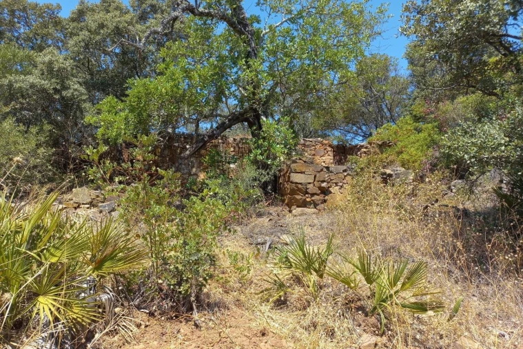 Terreno para Venda em Santa Catarina da Fonte do Bispo Foto 12
