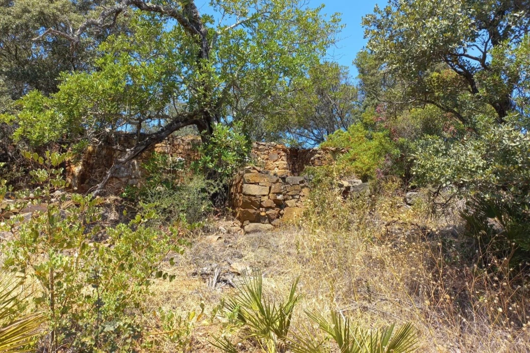 Terreno para Venda em Santa Catarina da Fonte do Bispo Foto 3