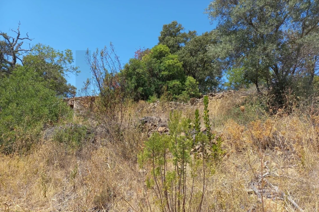 Terreno para Venda em Santa Catarina da Fonte do Bispo Foto 5