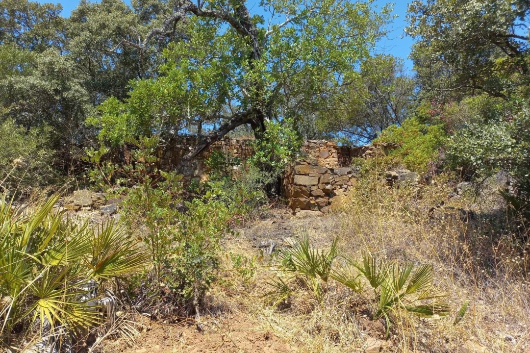 Terreno para Venda em Santa Catarina da Fonte do Bispo Foto 12