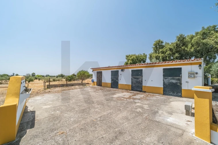 Quinta T4 para Venda em São Bento do Mato Foto 23