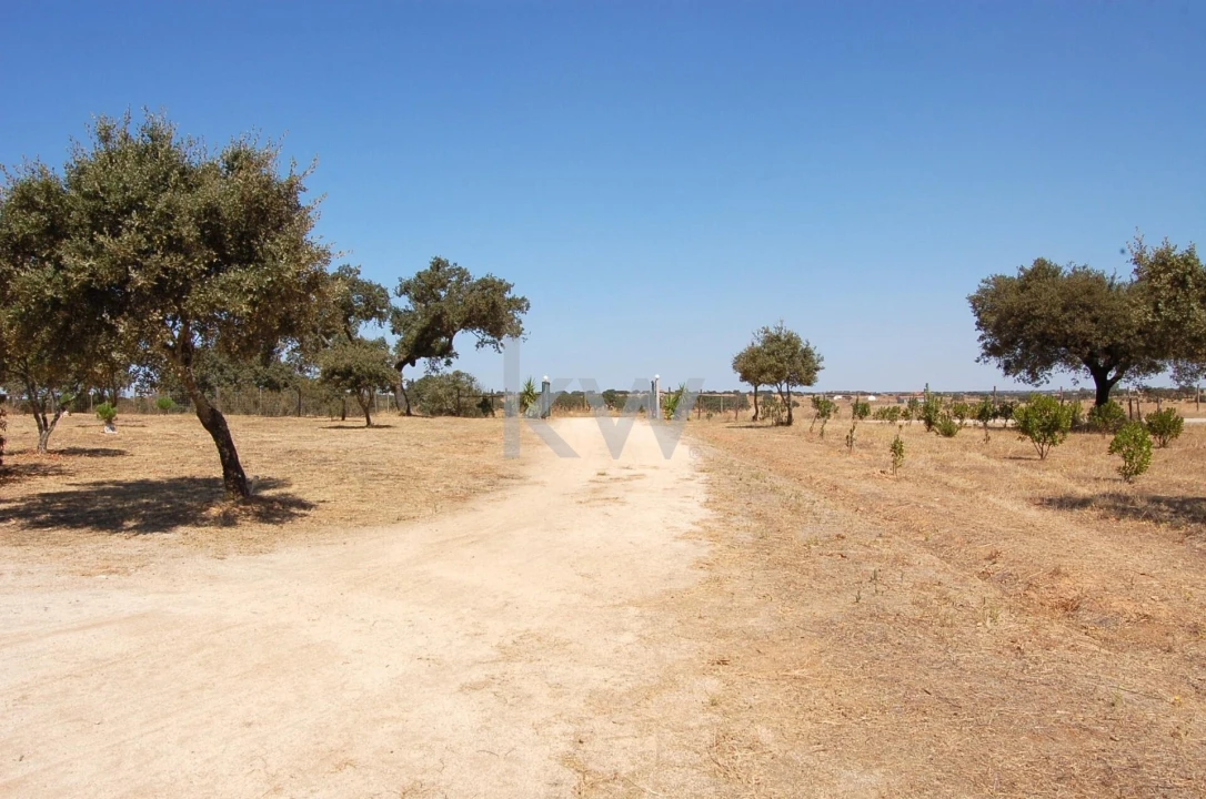 Quinta T2 para Venda em Monsaraz Foto 116