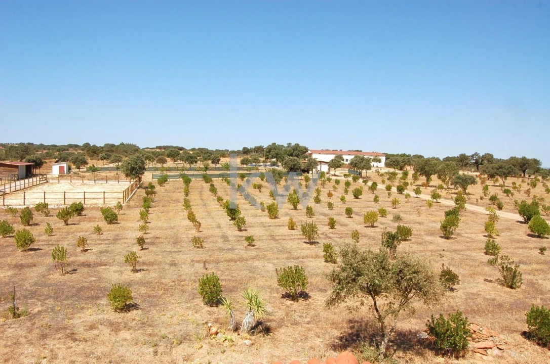 Quinta T2 para Venda em Monsaraz Foto 53