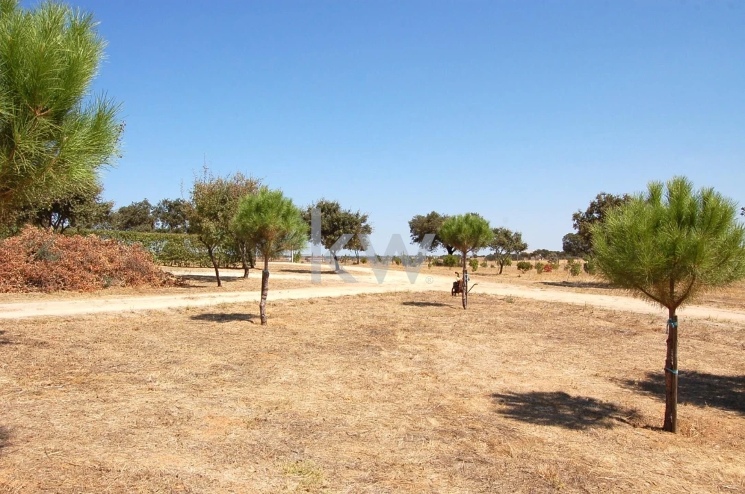 Quinta T2 para Venda em Monsaraz Foto 96