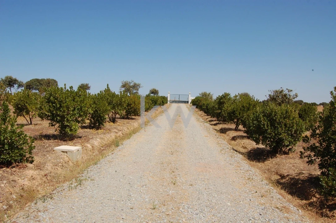 Quinta T2 para Venda em Monsaraz Foto 5