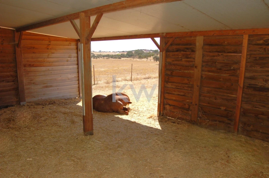 Quinta T2 para Venda em Monsaraz Foto 62