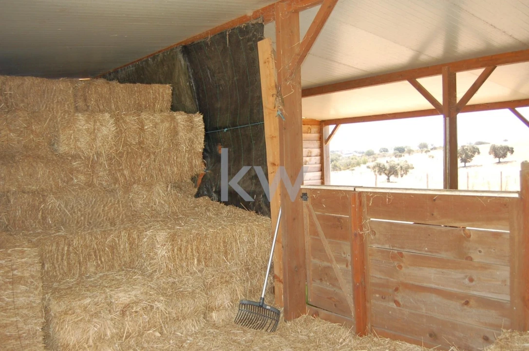 Quinta T2 para Venda em Monsaraz Foto 60