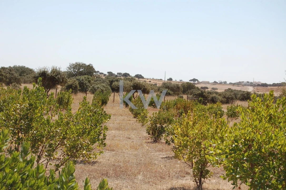 Quinta T2 para Venda em Monsaraz Foto 93