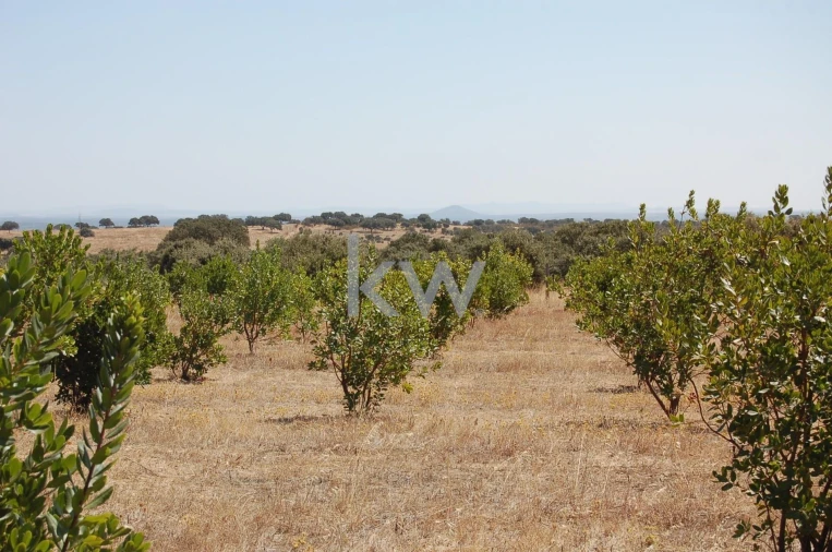 Quinta T2 para Venda em Monsaraz Foto 92