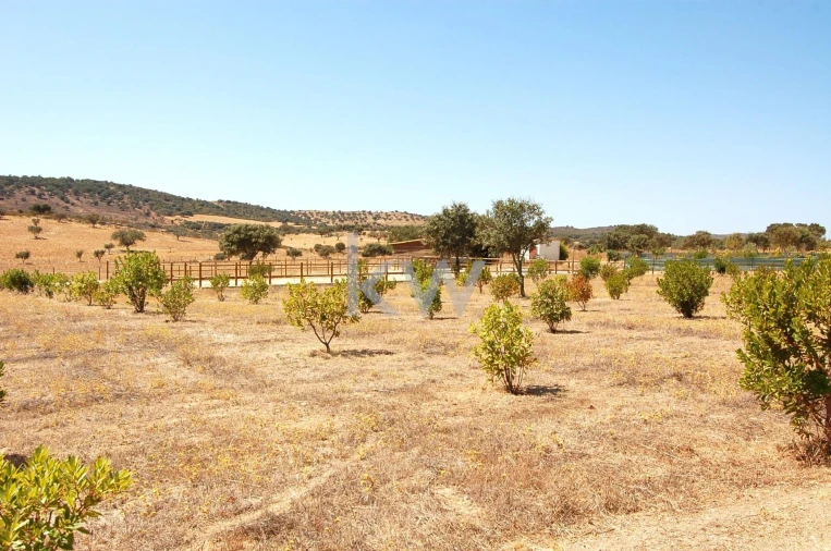 Quinta T2 para Venda em Monsaraz Foto 105