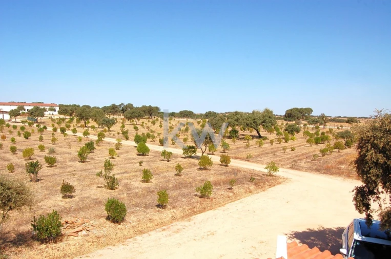 Quinta T2 para Venda em Monsaraz Foto 52