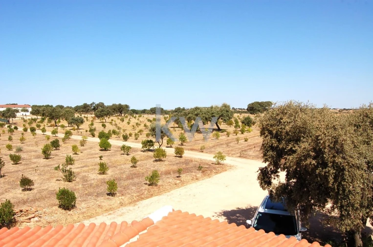 Quinta T2 para Venda em Monsaraz Foto 51