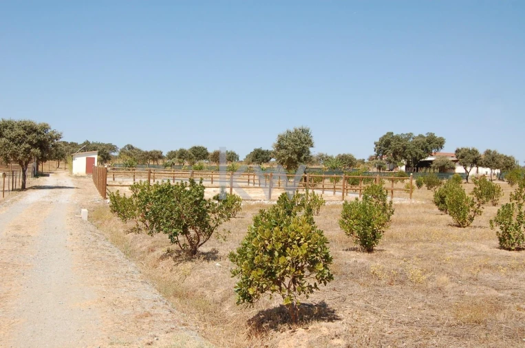 Quinta T2 para Venda em Monsaraz Foto 65