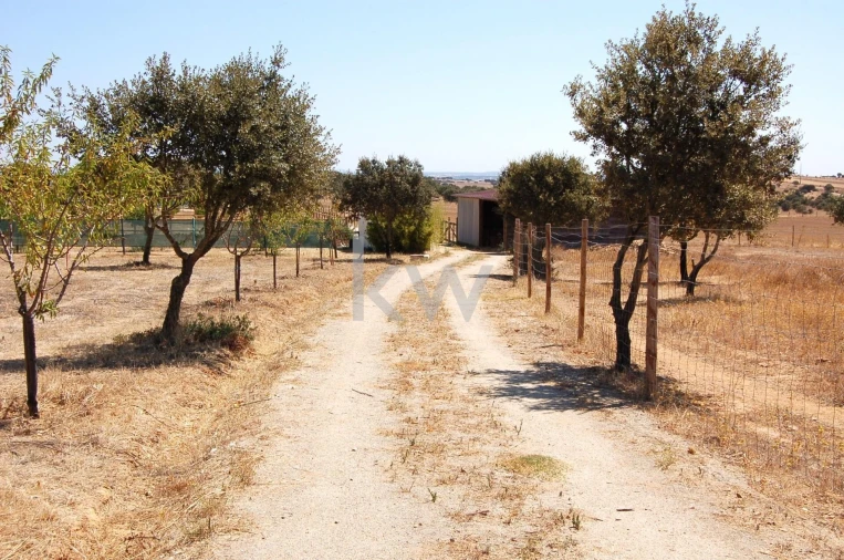 Quinta T2 para Venda em Monsaraz Foto 103