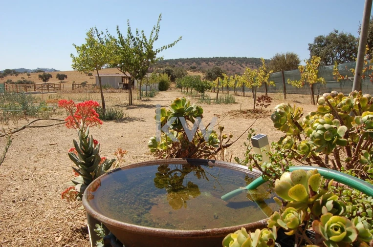 Quinta T2 para Venda em Monsaraz Foto 79