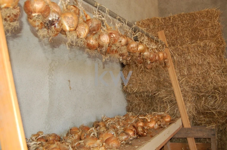 Quinta T2 para Venda em Monsaraz Foto 115