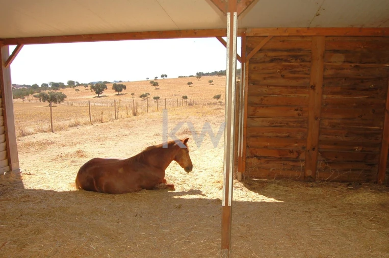 Quinta T2 para Venda em Monsaraz Foto 63