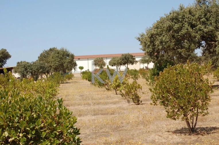 Quinta T2 para Venda em Monsaraz Foto 71