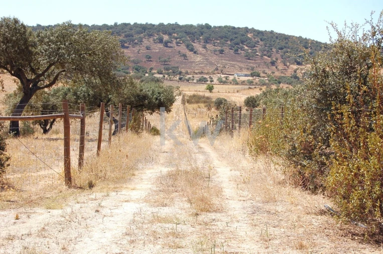 Quinta T2 para Venda em Monsaraz Foto 102